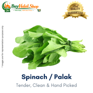 Spinach / Palak (Medium Sized)