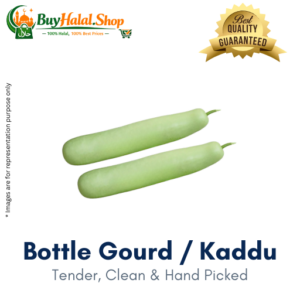 Bottle Gourd / Kaddu / Lauki (Medium Sized)