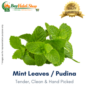Mint Leaves / Pudina